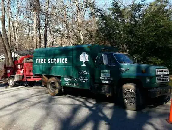 Tree Service Greenville